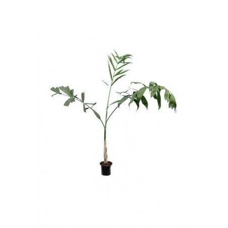 6540_GAR