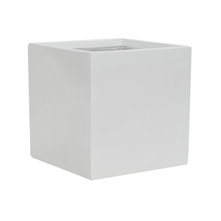 6FSTGWFM01_NIE 6FSTGWFM01_NIE