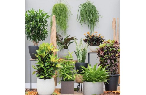 Pots et accessoires