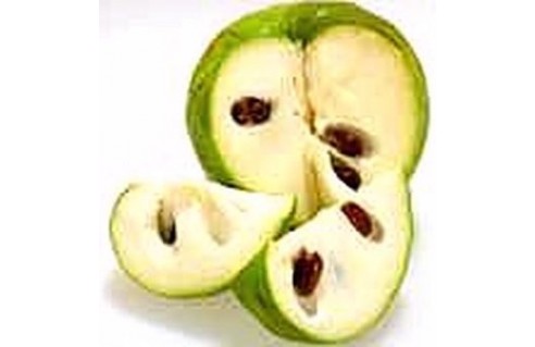 Cherimoya, Annone (Annona)