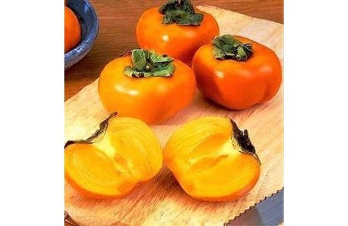 Diospyros (Plaqueminier, Kaki)