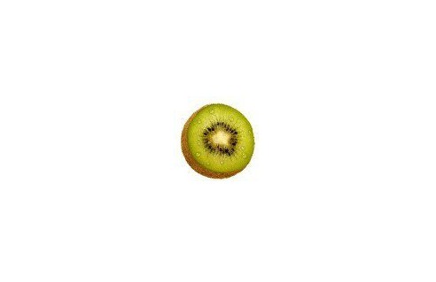 Kiwi (Actinidia)