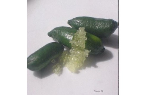 Microcitrus australasica (Citron caviar)