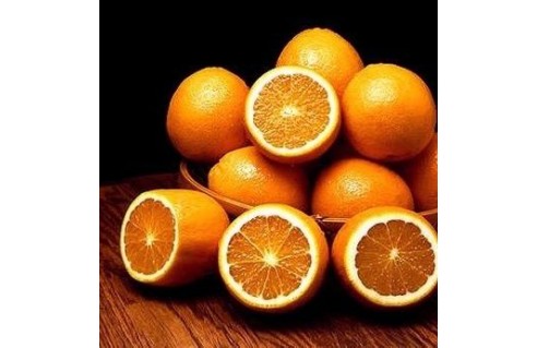 Oranger (Citrus sinensis)