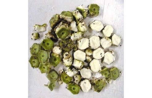 philodendron-a-fruits-fruit-delicieux-monstera