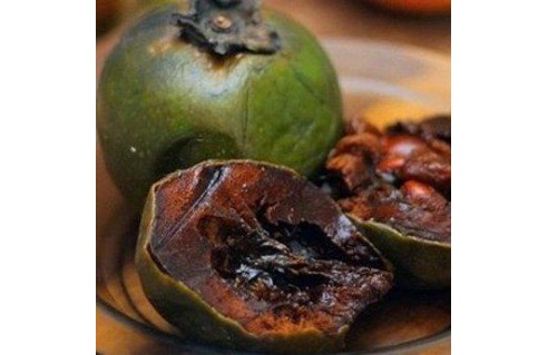 Sapote noir (Diospyros digyna)