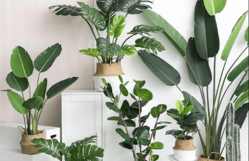 Plantes artificielles