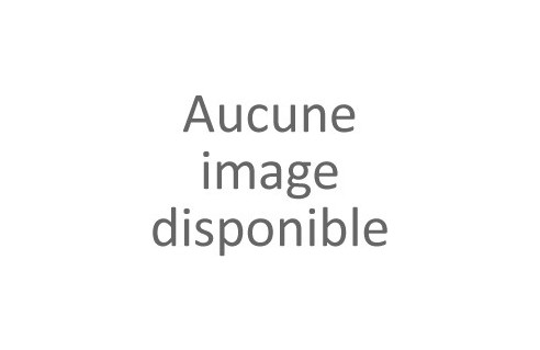 Mur végétaux